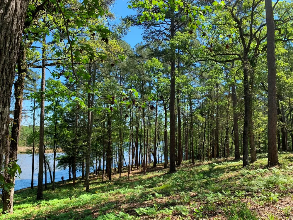FM 3506 Frankston, TX 75763