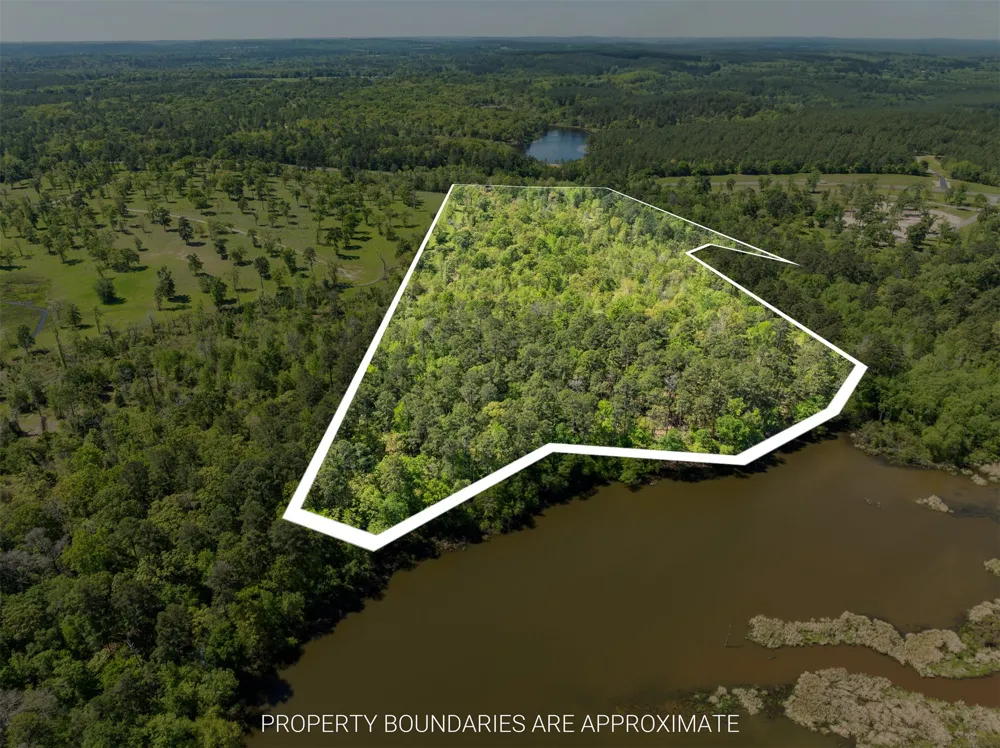 FM 3506 Frankston, TX 75763