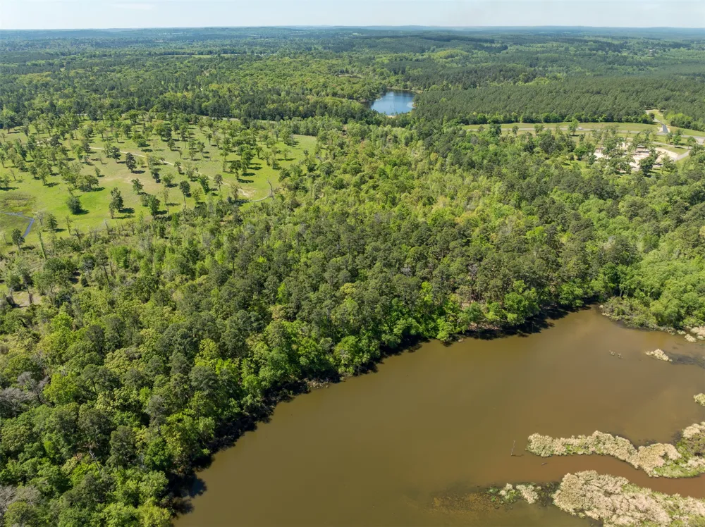 FM 3506 Frankston, TX 75763