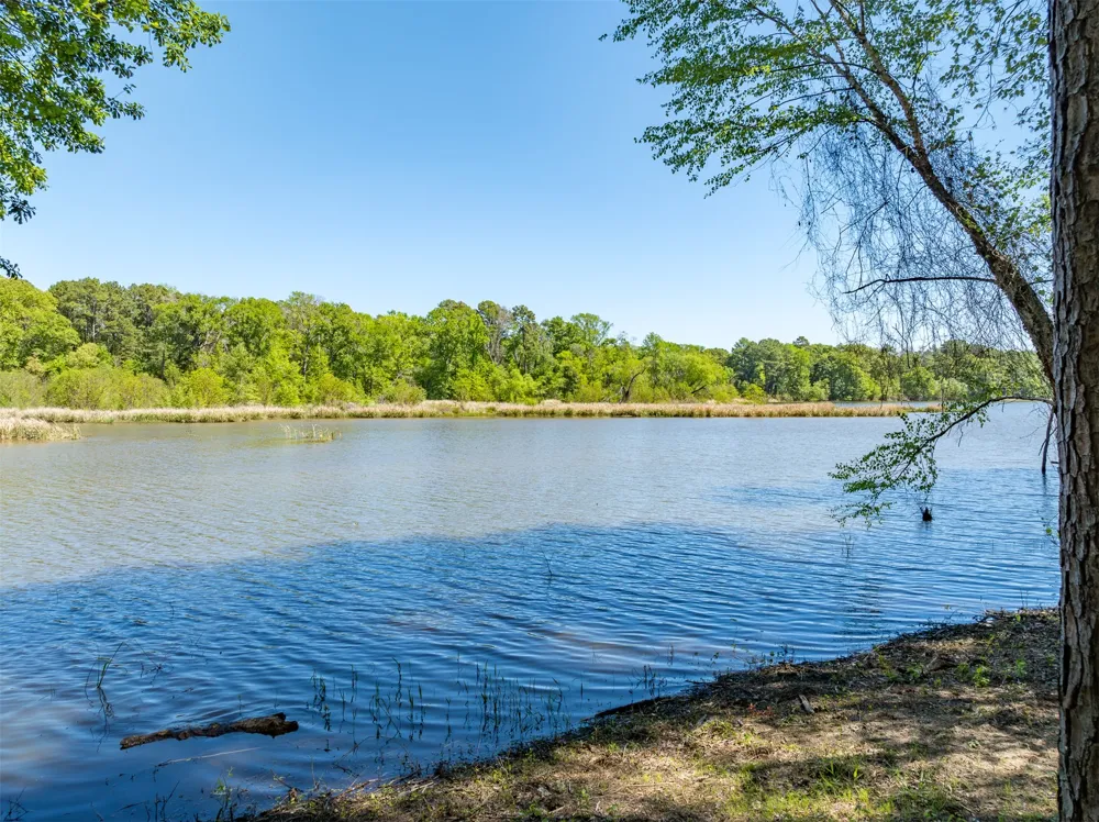 FM 3506 Frankston, TX 75763