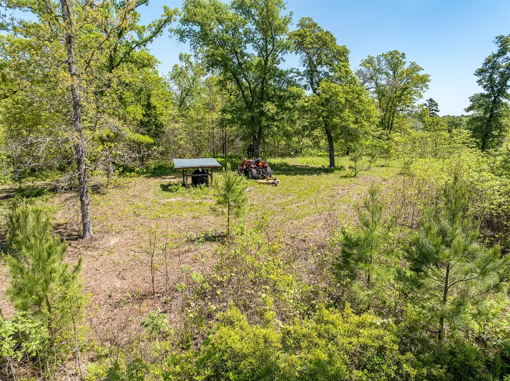 FM 3506 Frankston, TX 75763