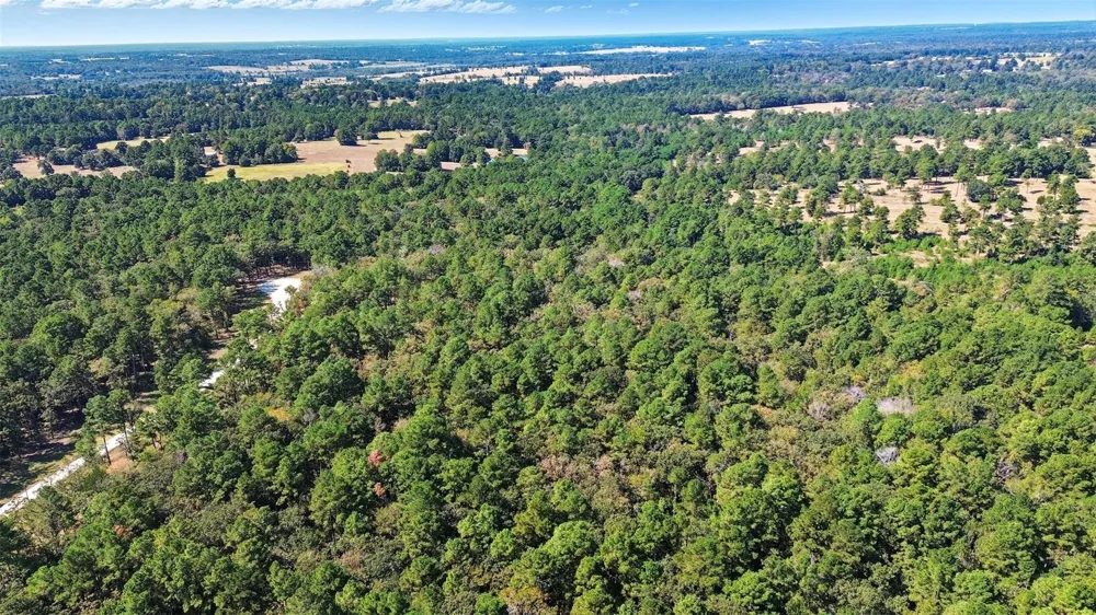 60 County Road 114 Centerville, TX 75833
