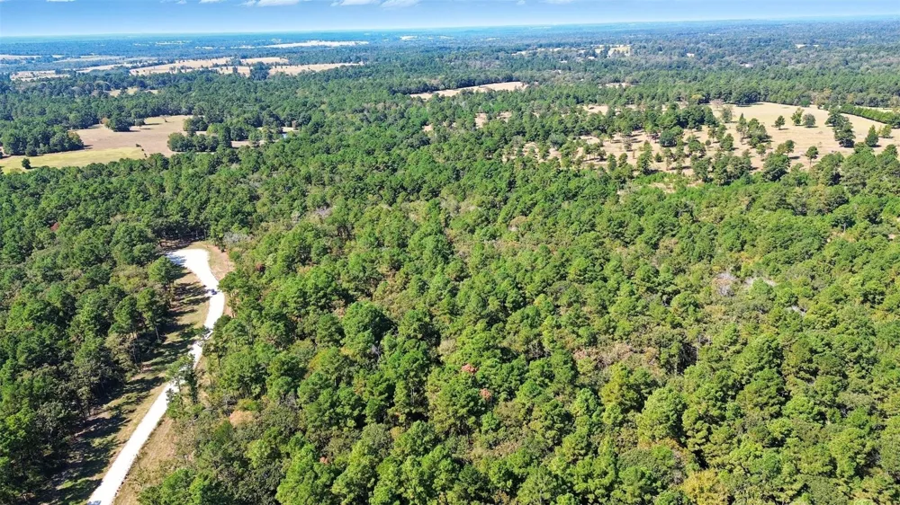 60 County Road 114 Centerville, TX 75833