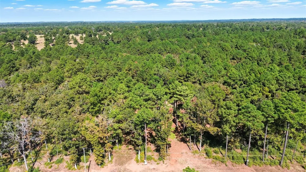 60 County Road 114 Centerville, TX 75833