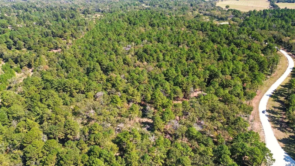 60 County Road 114 Centerville, TX 75833