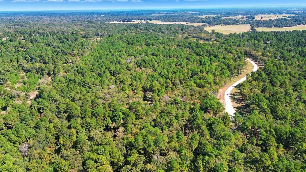 60 County Road 114 Centerville, TX 75833