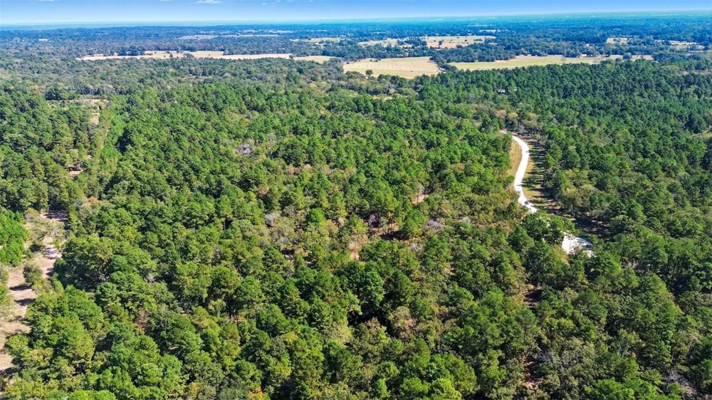60 County Road 114 Centerville, TX 75833
