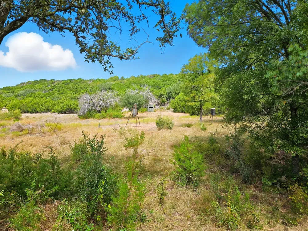 W Fm 217 Jonesboro, TX 76538