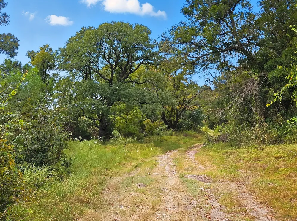 W Fm 217 Jonesboro, TX 76538