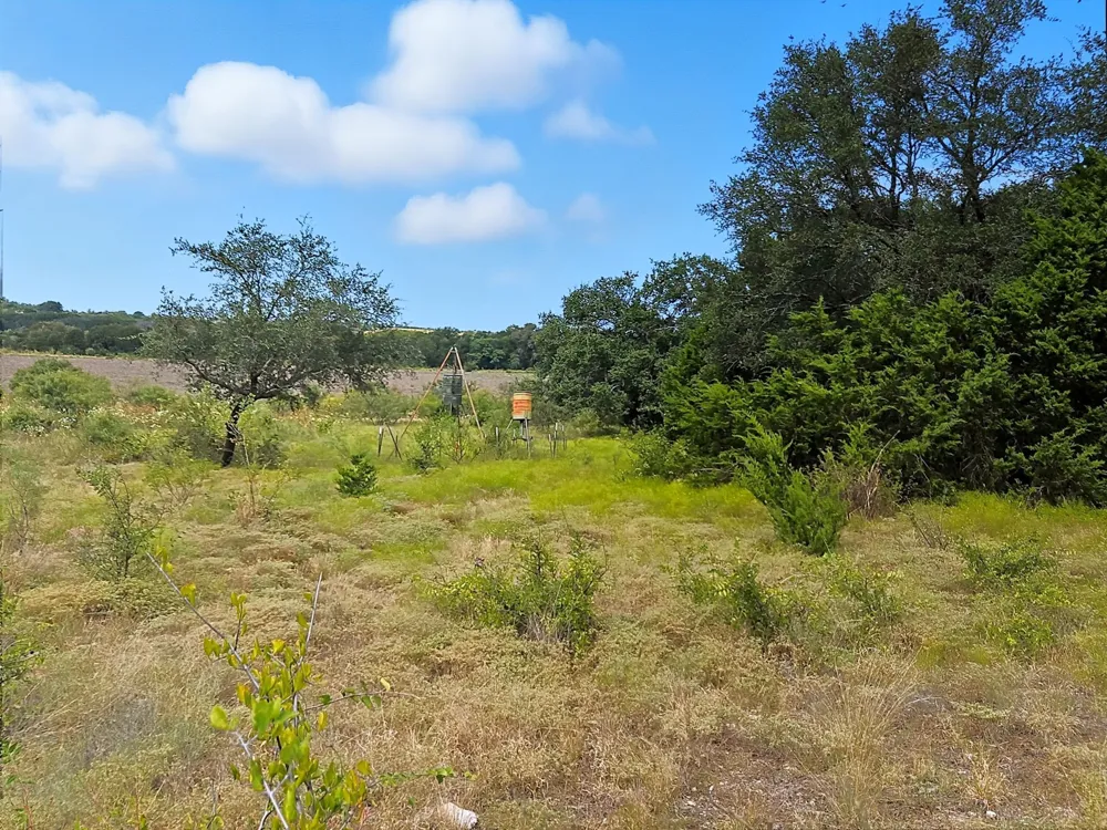 W Fm 217 Jonesboro, TX 76538