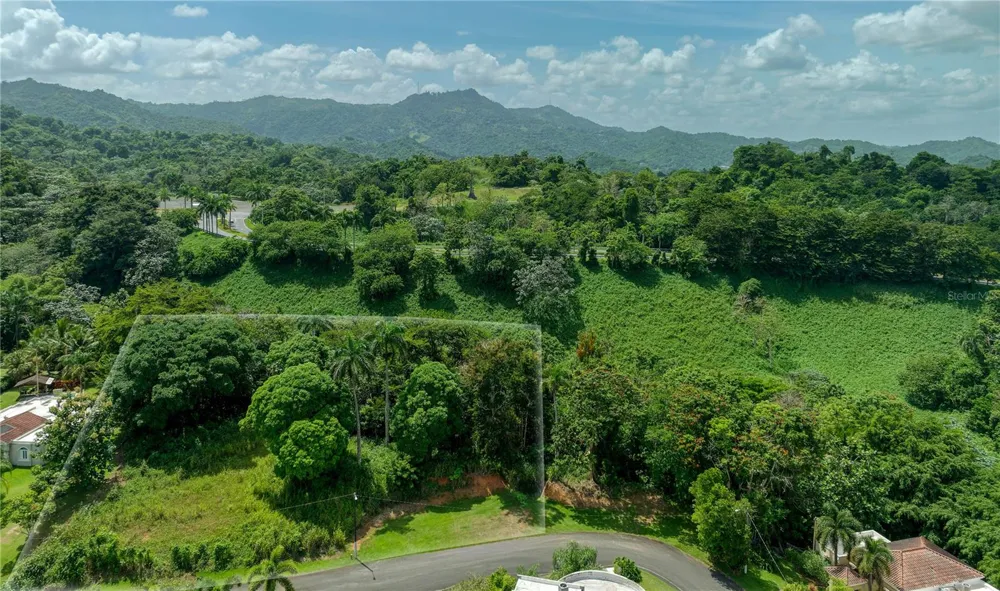 Lot-C42/43 VALLE ESCONDIDO Guaynabo, PR 00971