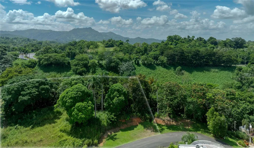 Lot-C42/43 VALLE ESCONDIDO Guaynabo, PR 00971