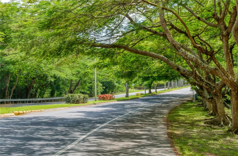 Lot-C42/43 VALLE ESCONDIDO Guaynabo, PR 00971