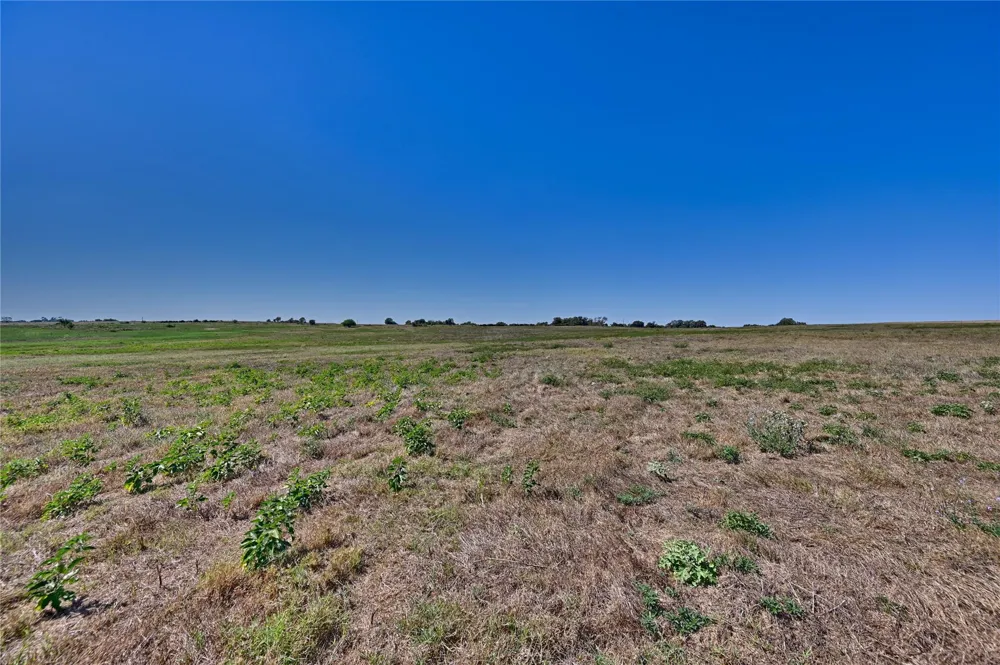 3 Pacen Place Chappell Hill, TX 77426