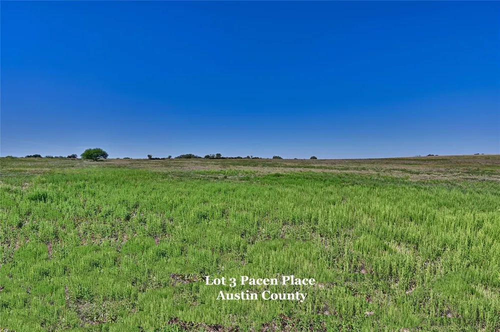 3 Pacen Place Chappell Hill, TX 77426