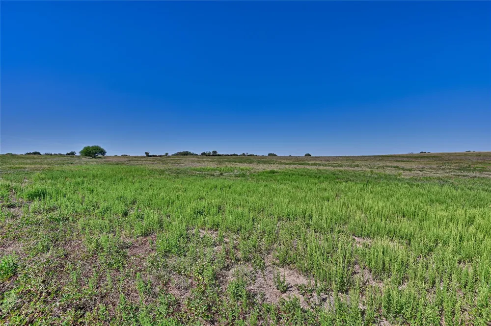 3 Pacen Place Chappell Hill, TX 77426