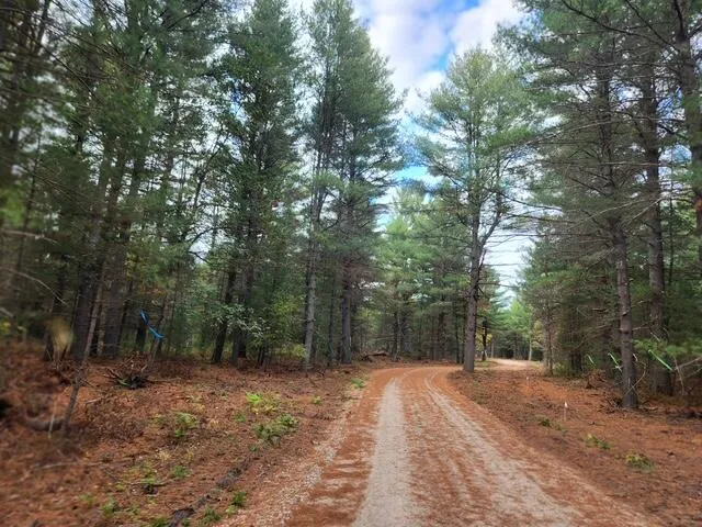 Tatanka Trail Baldwin, MI 49304