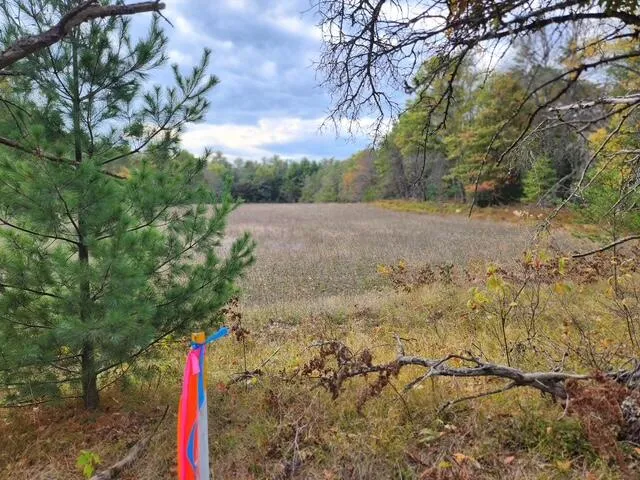 Tatanka Trail Baldwin, MI 49304