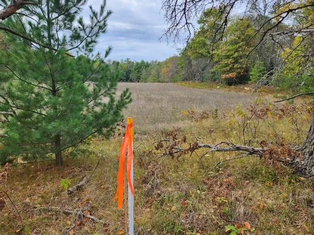 Tatanka Trail Baldwin, MI 49304