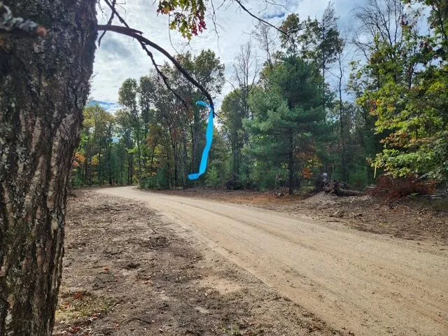 Tatanka Trail Baldwin, MI 49304