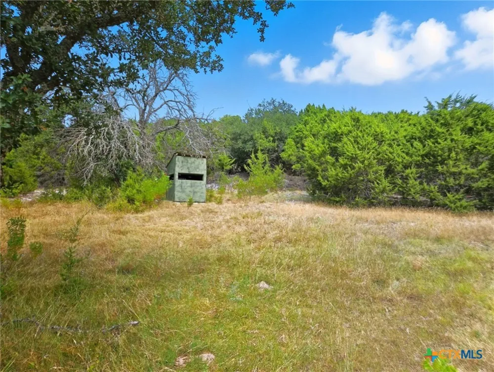 482 W Fm 217 Jonesboro, TX 76538