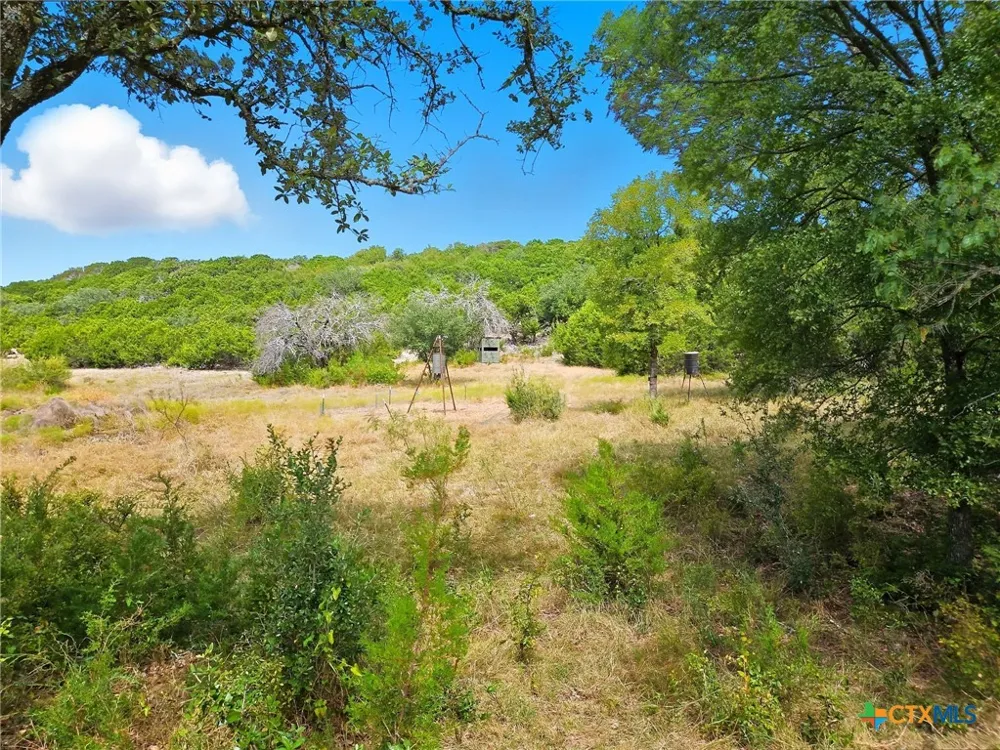 482 W Fm 217 Jonesboro, TX 76538