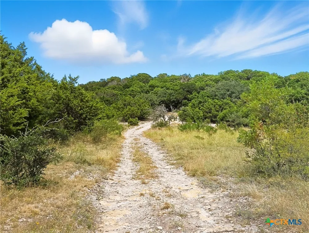 482 W Fm 217 Jonesboro, TX 76538