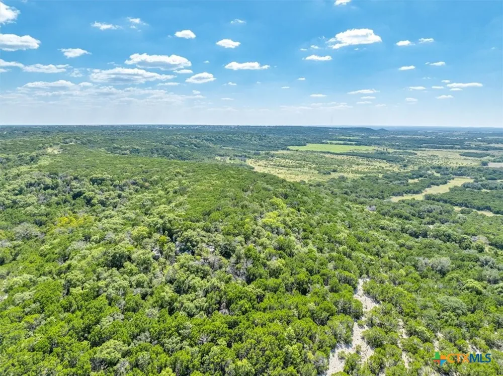482 W Fm 217 Jonesboro, TX 76538