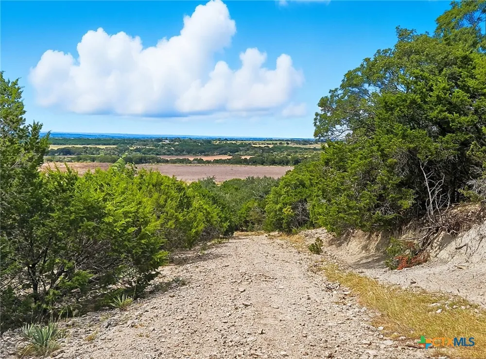 482 W Fm 217 Jonesboro, TX 76538