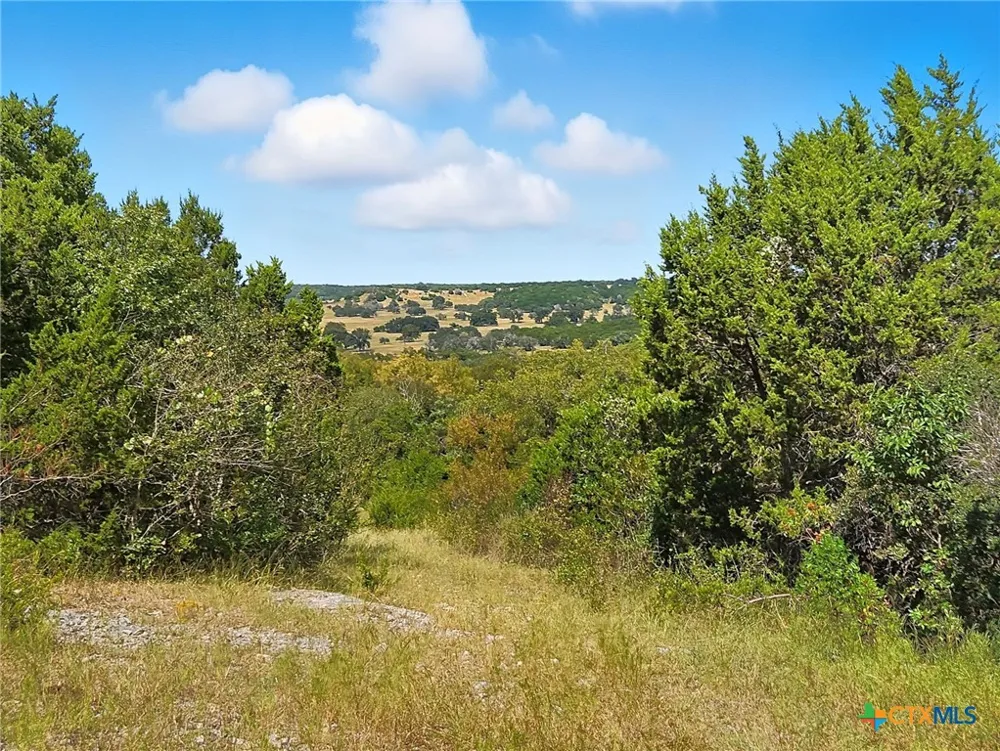 482 W Fm 217 Jonesboro, TX 76538