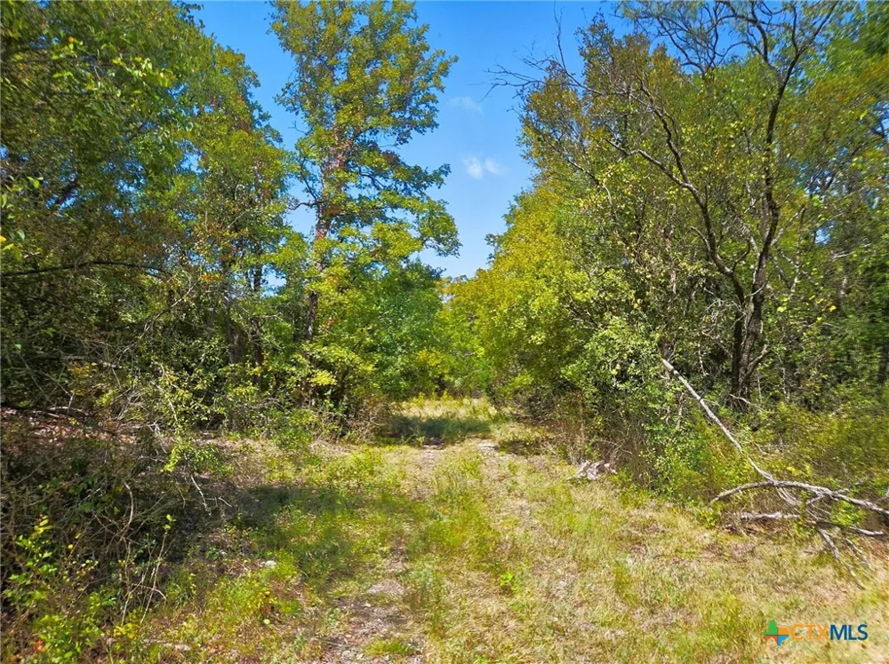 482 W Fm 217 Jonesboro, TX 76538