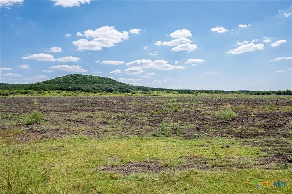 482 W Fm 217 Jonesboro, TX 76538