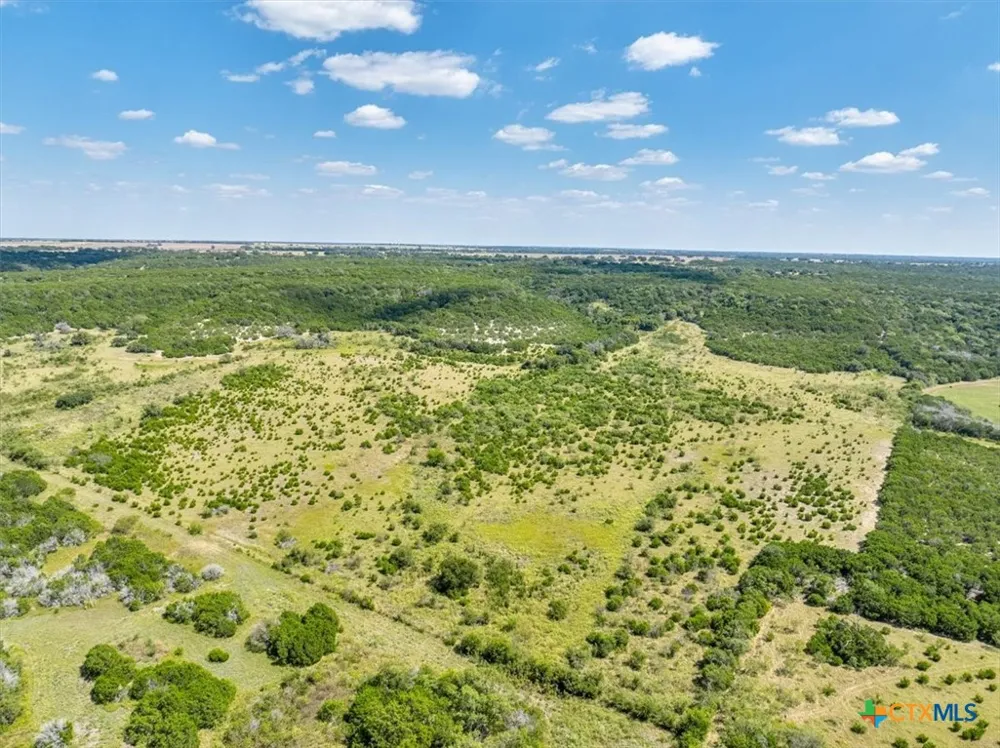 482 W Fm 217 Jonesboro, TX 76538