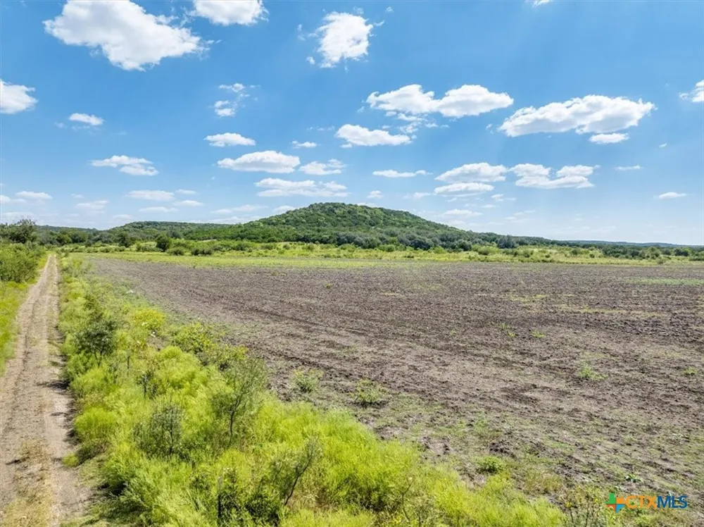 482 W Fm 217 Jonesboro, TX 76538