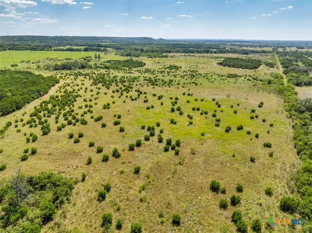 482 W Fm 217 Jonesboro, TX 76538