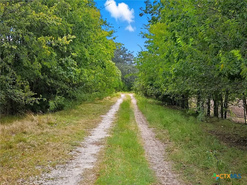 482 W Fm 217 Jonesboro, TX 76538