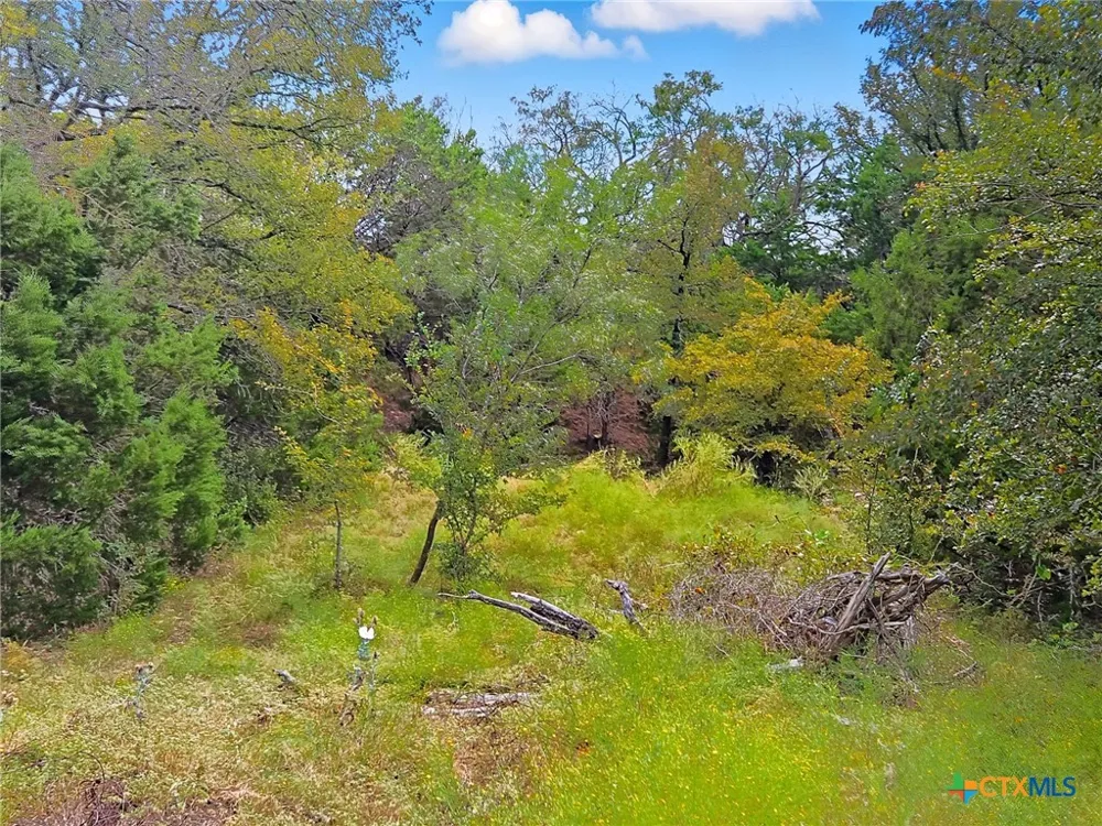 482 W Fm 217 Jonesboro, TX 76538