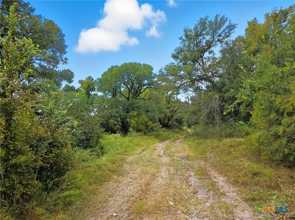 482 W Fm 217 Jonesboro, TX 76538