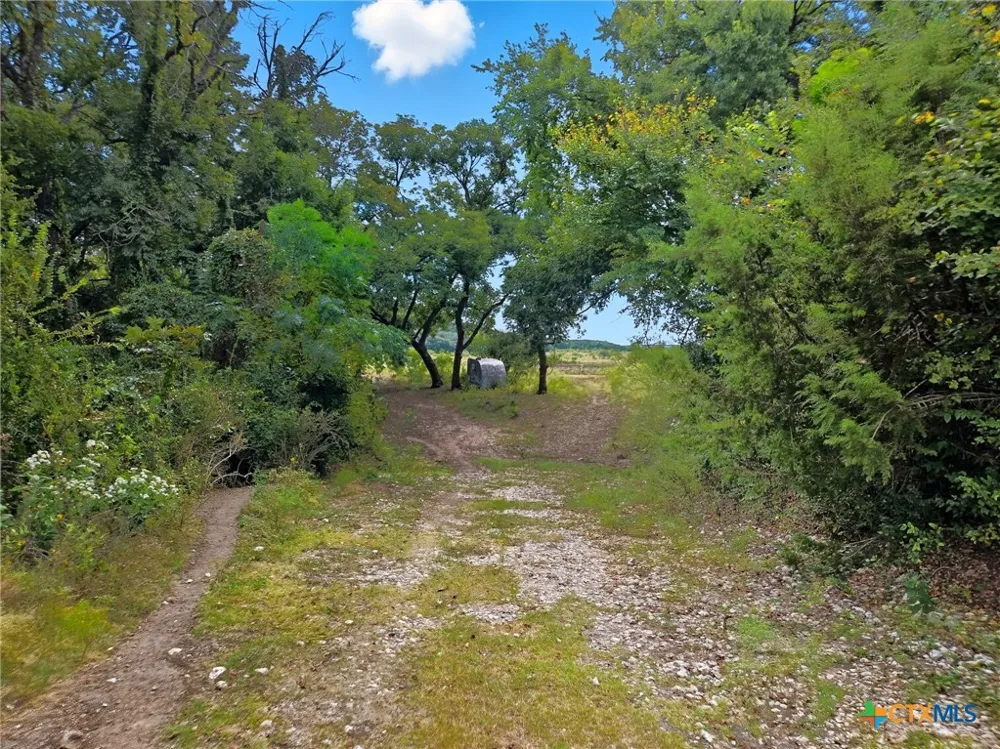 482 W Fm 217 Jonesboro, TX 76538