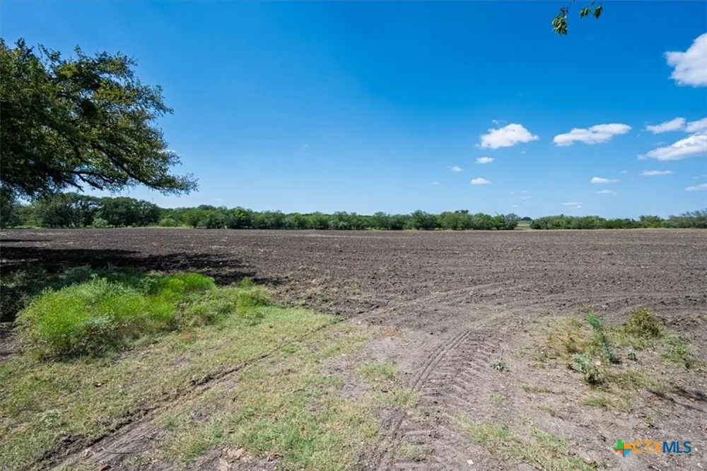 482 W Fm 217 Jonesboro, TX 76538