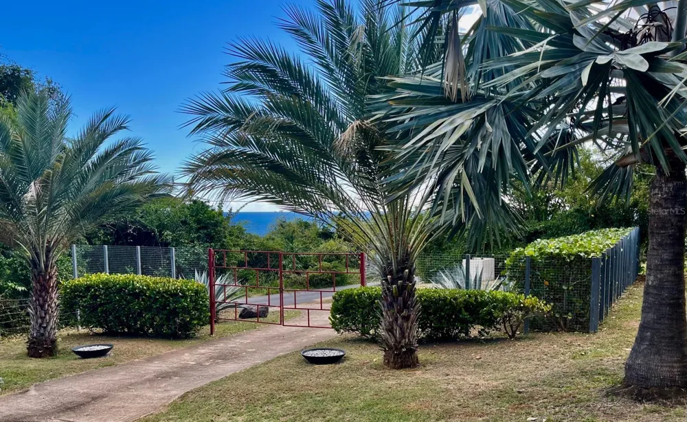 5 PUERTO REAL Vieques, PR 00765