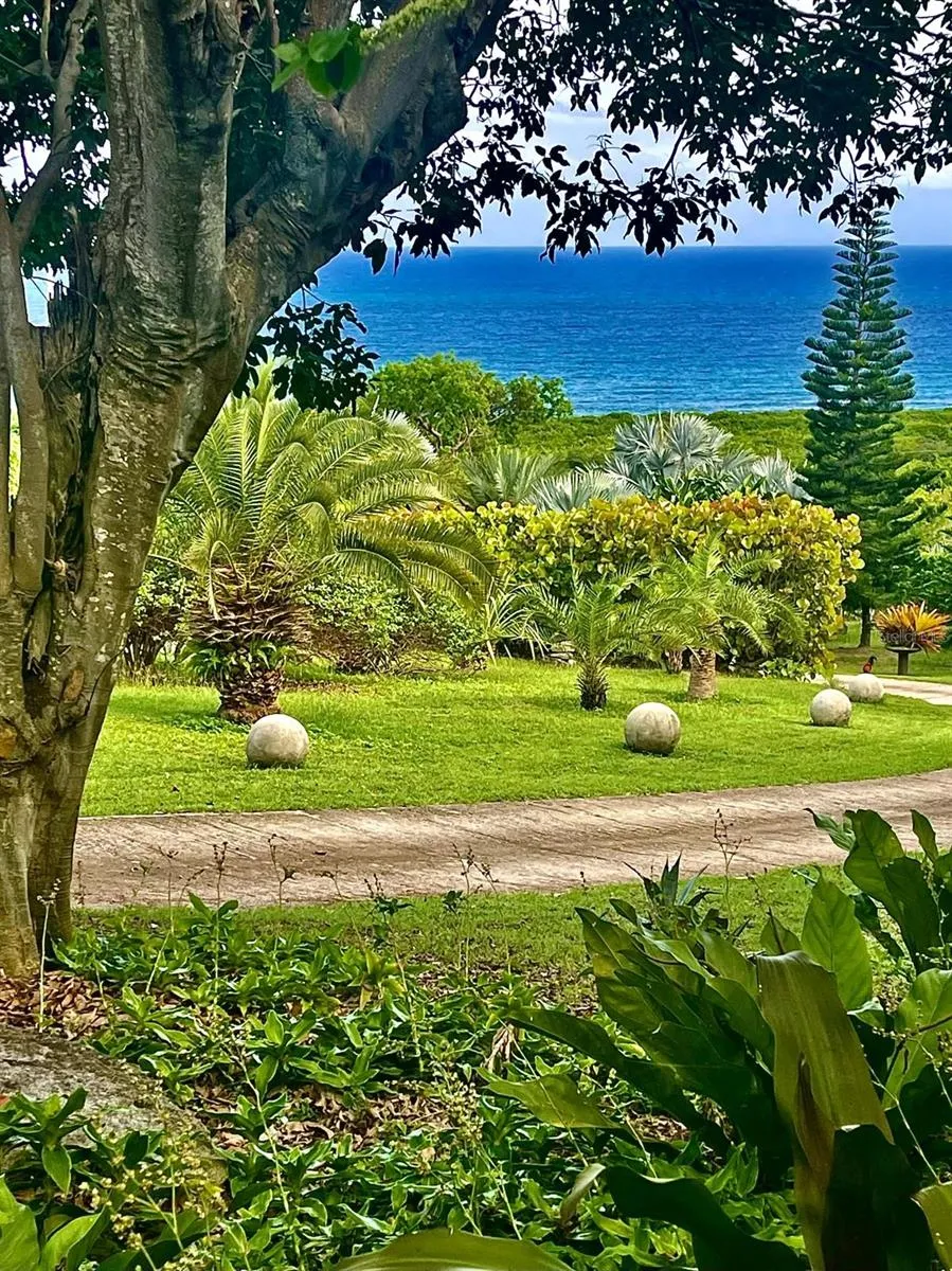 5 PUERTO REAL Vieques, PR 00765