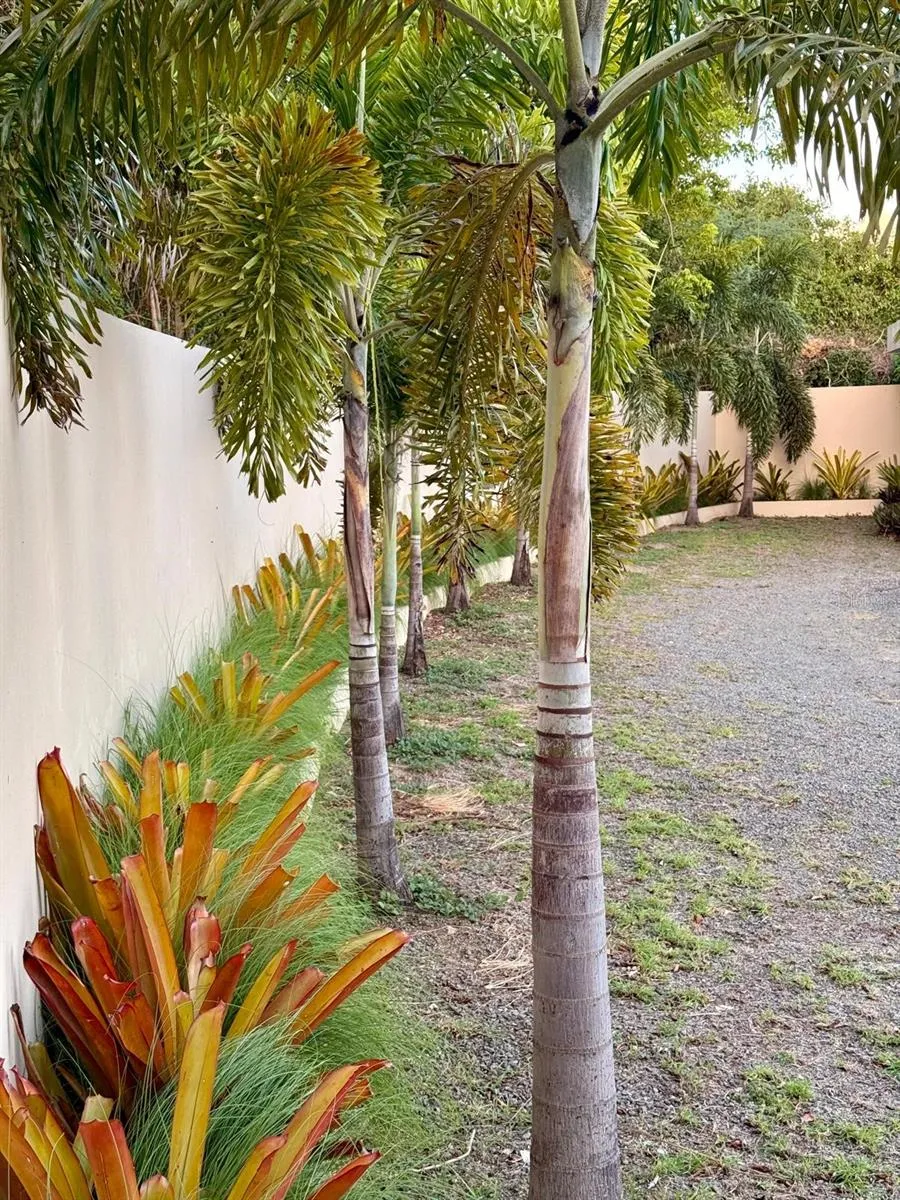5 PUERTO REAL Vieques, PR 00765