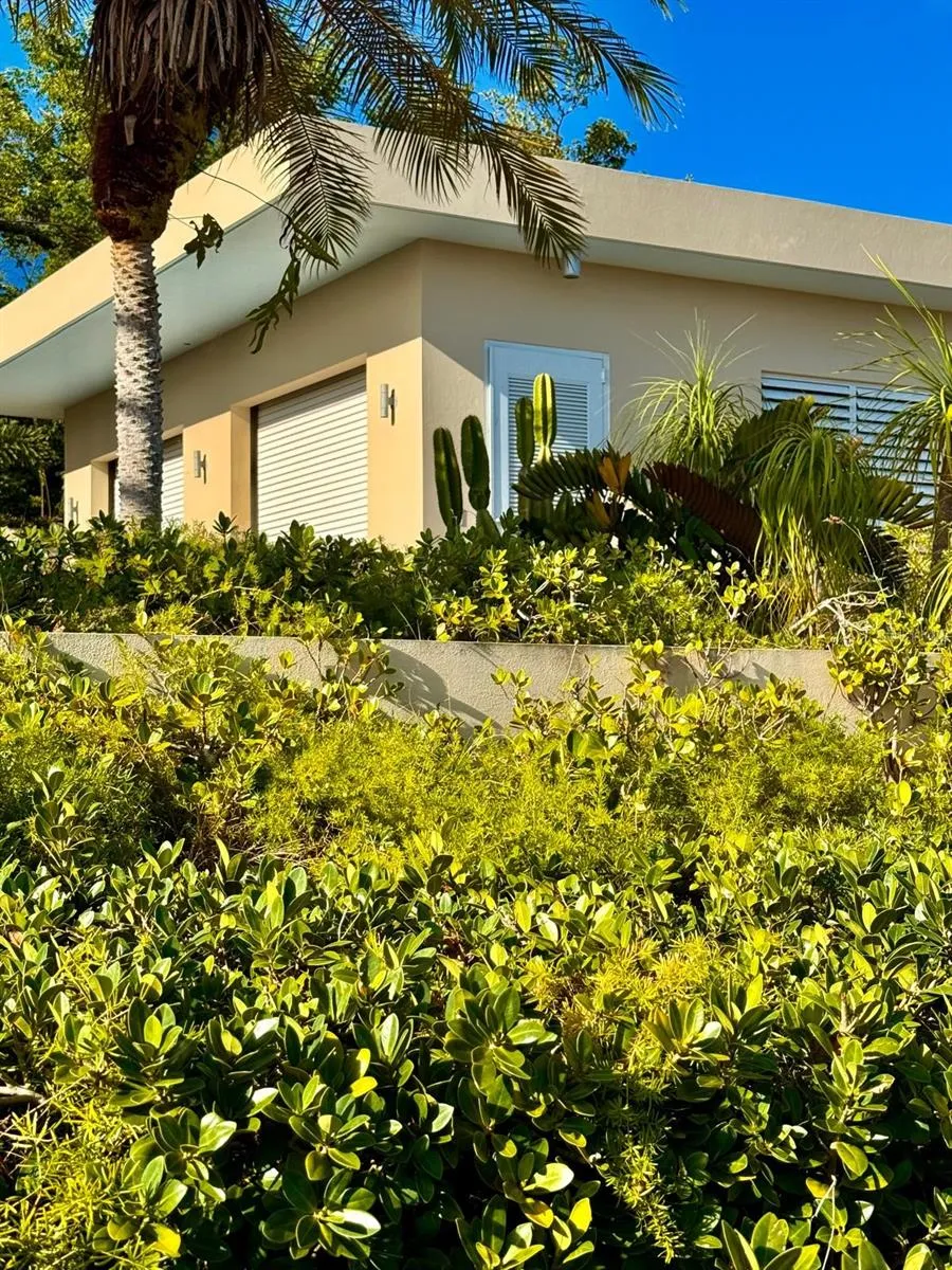 5 PUERTO REAL Vieques, PR 00765