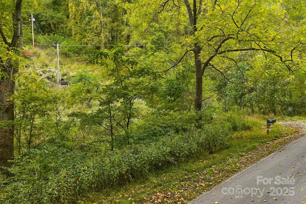 348 Chandler Creek Road Mars Hill, NC 28754