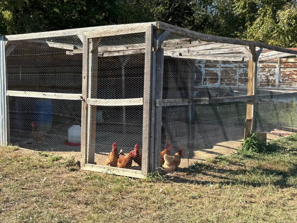 7067 State Highway 78 Bonham, TX 75418