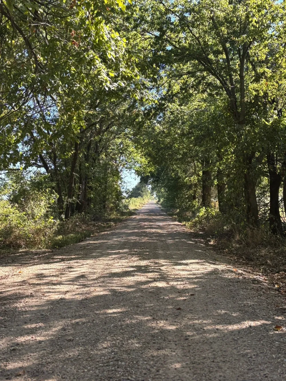 7067 State Highway 78 Bonham, TX 75418
