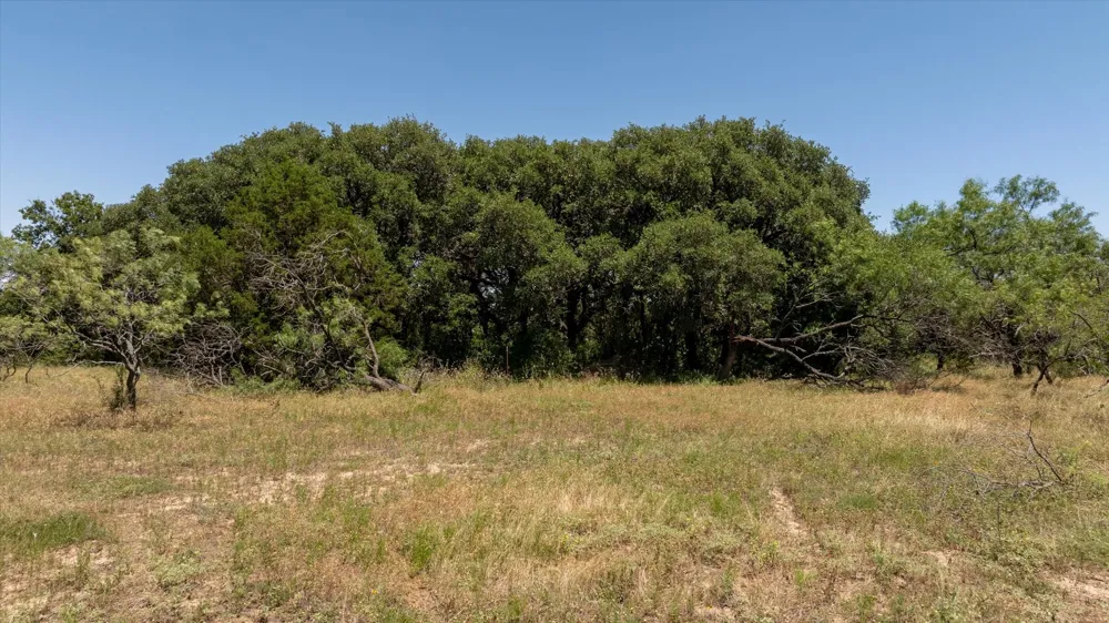 170 County Road 386 Carlton, TX 76436