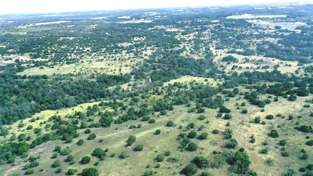 170 County Road 386 Carlton, TX 76436