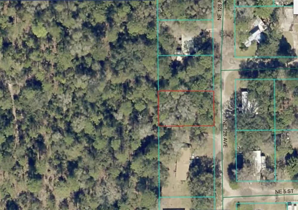 Lot 8 NE 128TH AVENUE Silver Springs, FL 34488